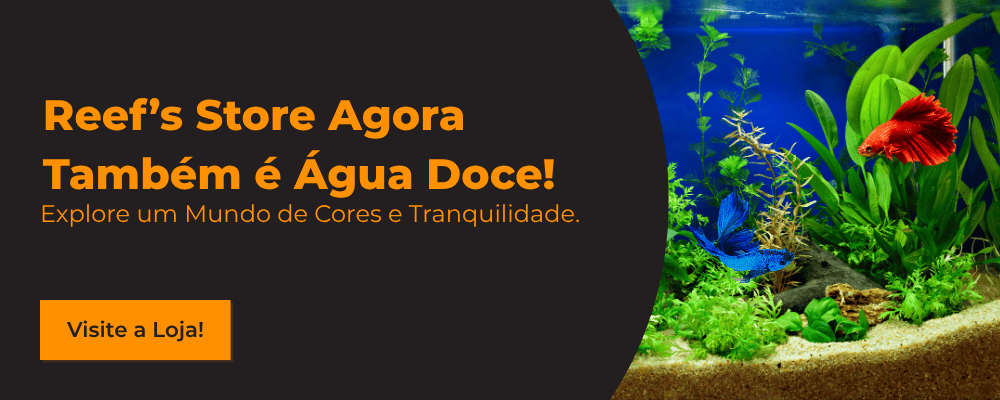 Reef's Store Agora Também é Água Doce! Explore um Mundo de Cores e Tranquilidade. Clique para ver a localização da loja física.