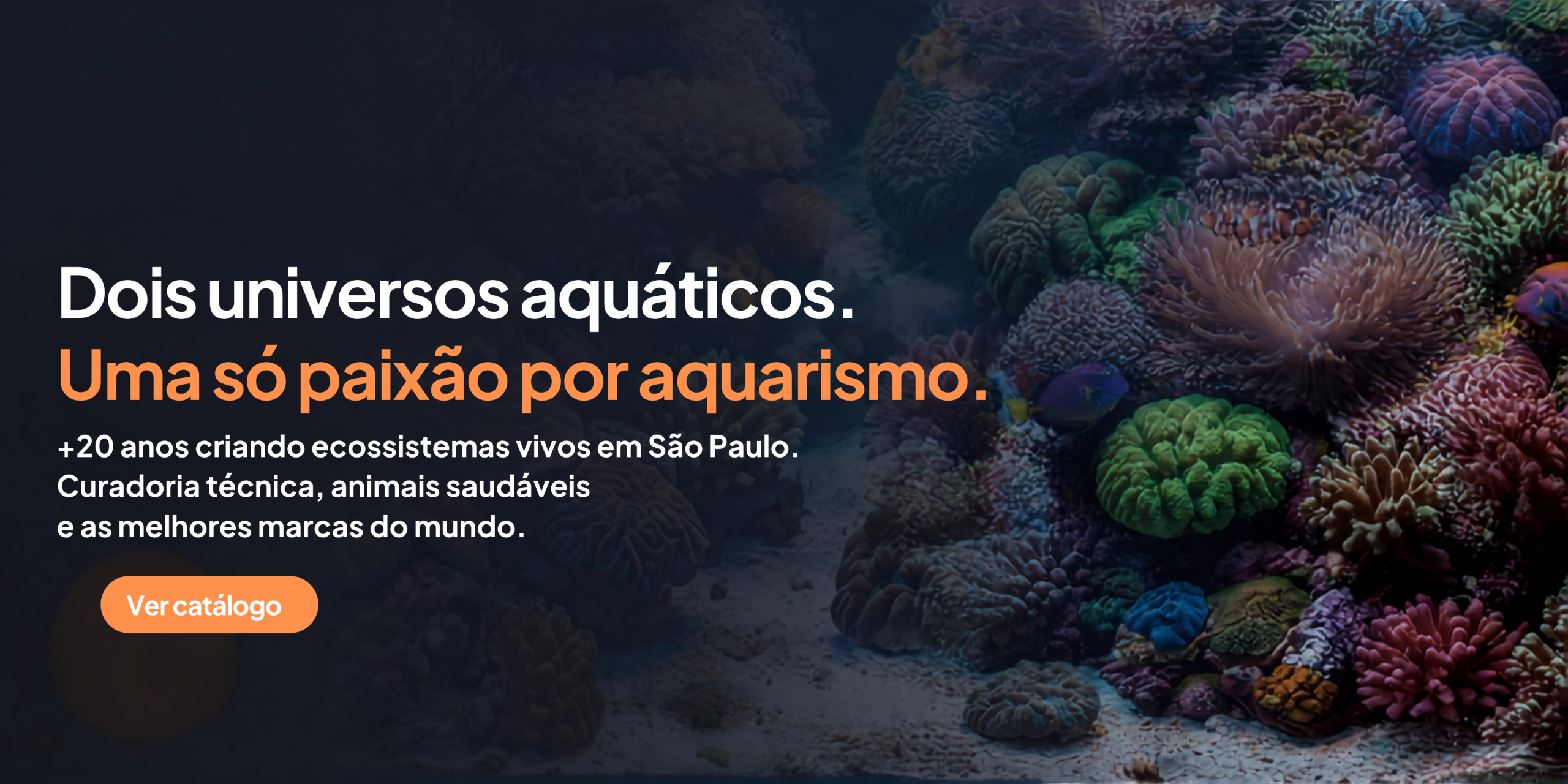 Reef's Store