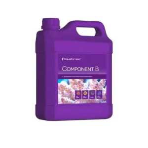 Component B 2000ML