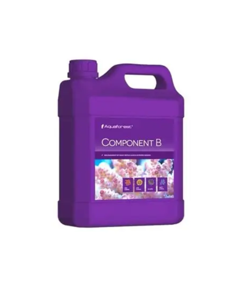 Component B 2000ML